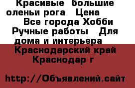 Красивые  большие оленьи рога › Цена ­ 3 000 - Все города Хобби. Ручные работы » Для дома и интерьера   . Краснодарский край,Краснодар г.